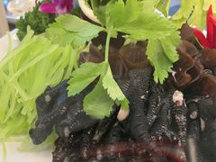 -蓉和妈妈菜·芙蓉花开(高新店)