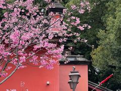 -乌山风景区