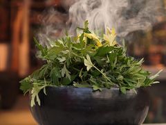 -自由生长植物工作室(深港花卉中心店)