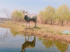 -溱湖国家湿地公园