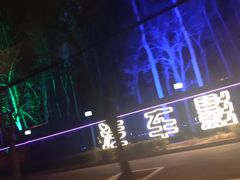-枫花园汽车电影院(朝阳公园店)
