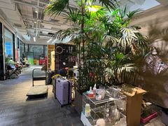 -大视光学•LINDBERG林德伯格•全球手工眼镜集合店(王府井店)