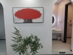 -I+造型烫发染发