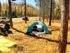 -塞罕坝国家级自然保护区