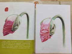 -八哥美术·成人美术画室(总校区)
