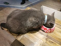 -小时光咖啡馆(开森度假森林店)
