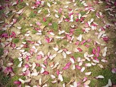 -艾溪湖湿地公园