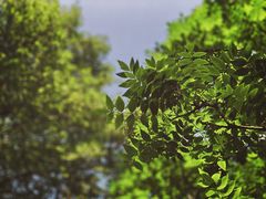 -长春市南湖公园