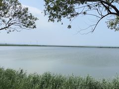 -野鸭湖国家湿地公园