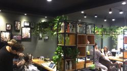 点击看大图 -藤野造型