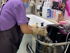 -北京观赏动物医院·24小时大型综合·猫专科·异宠专科