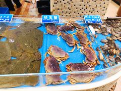 -双井轩(双井店)