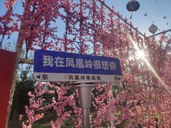 -北京凤凰岭