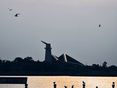 -盐城丹顶鹤湿地生态旅游区