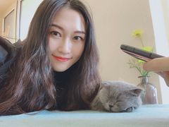 -鼓捣猫呢主题猫咖店