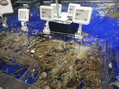 -盒马鲜生(新都心店)