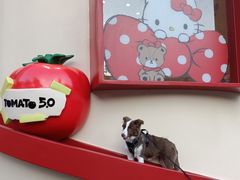 -沈阳铁西万象汇