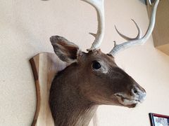 -Paulaner·德国帕拉娜自酿啤酒餐厅(海上世界店)