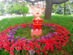 -青岛德国总督楼旧址博物馆