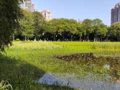 -东山湖公园