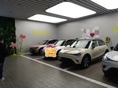 -上海浦东smart汽车全功能店(金桥店)