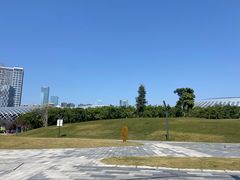 -深圳人才公园