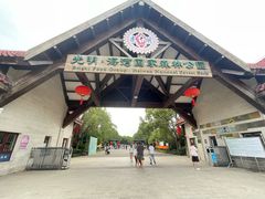 -上海海湾国家森林公园