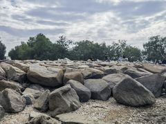 -宝安西湾红树林湿地公园