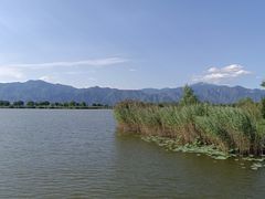 -野鸭湖国家湿地公园