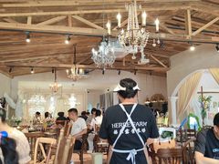 -HERRE·FARM 赫尔露营农场·团建聚会包场