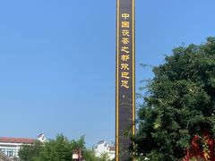 -茯茶镇