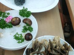 舞松茸菌-湯系·煲汤手艺人(东二环泰禾广场店)