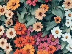 -远洋未来广场(育慧北路店)