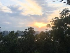 -野狸岛