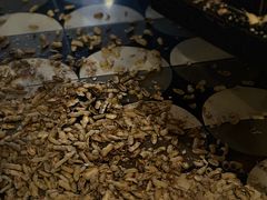 -Long Bar(莱佛士酒店)