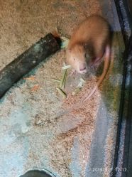 -酷嗒动物文化乐园(cutezoo西溪乐天城店)