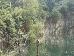 -武吉知马自然保护区