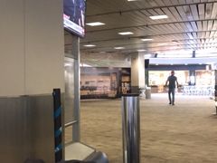 -纽瓦克自由国际机场