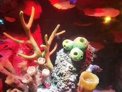 -沈阳海洋探索中心