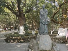 -八大山人梅湖景区
