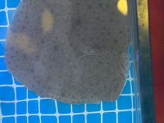 -鼓歌海鲜舫·手抓海鲜(大学城店)