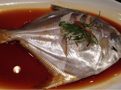 贴阁碧(百丈东路店)-贴阁碧(百丈东路店)