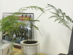 -天猫养车贴膜轻改·蓝电(优匹康桥东路店)