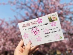 -上海辰山植物园