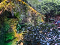 -青城甲(青城山店)