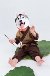 -小熊维尼高端儿童摄影(南山信和店)