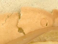 -易老大蛋烘糕(奎星楼总店)