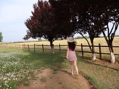 -汉长安城未央宫国家考古遗址公园