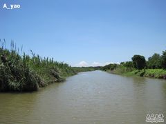 -大湾区中央湿地公园