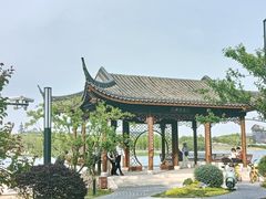 -春花秋色城市公园